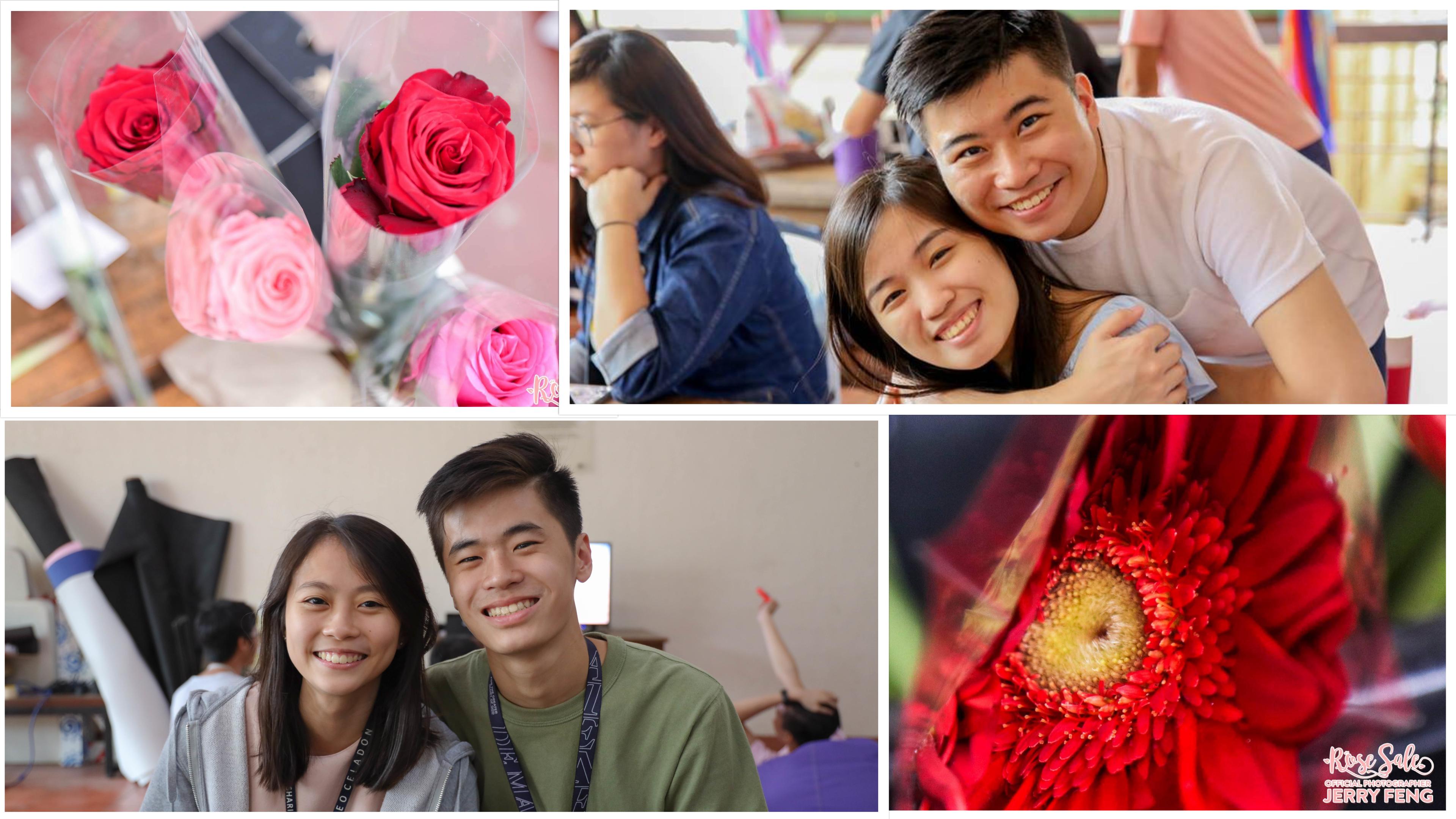 Blooming Attachments: Ateneo Celadon Rose Sale 2019